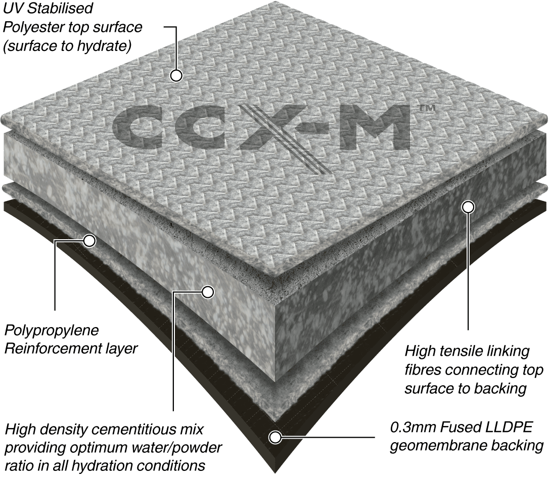 CCX-M Illustration