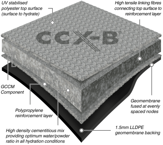 CCX-B(R)Illustration